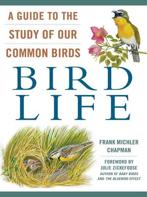 cover image of Bird Life: a Guide to the Study of Our Common Birds